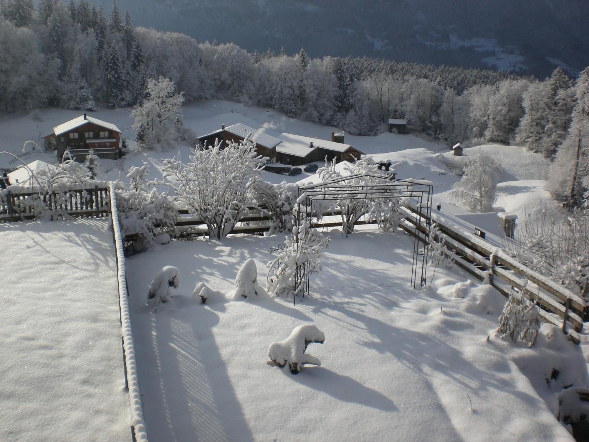 Pension Staldacher Hasliberg Exterior photo